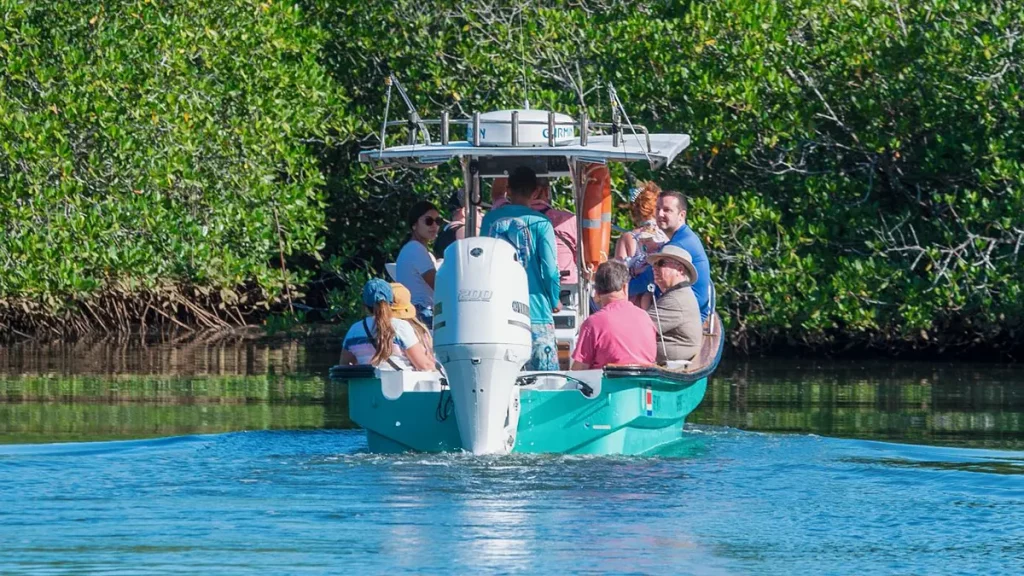 Local sightseeing and mangrove tour