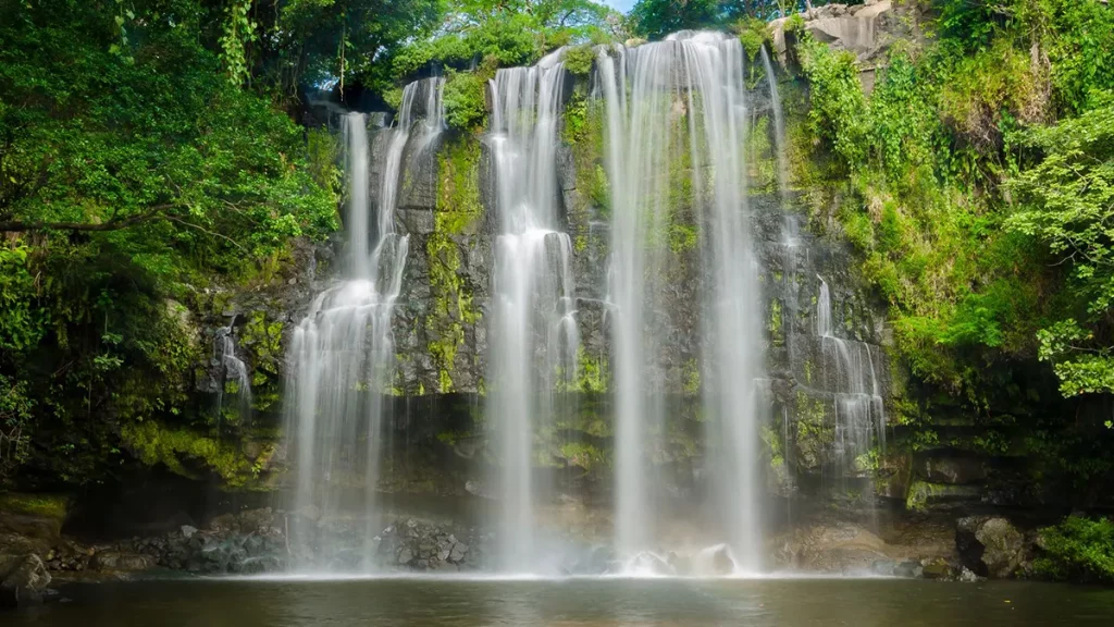Rainforest Waterfall