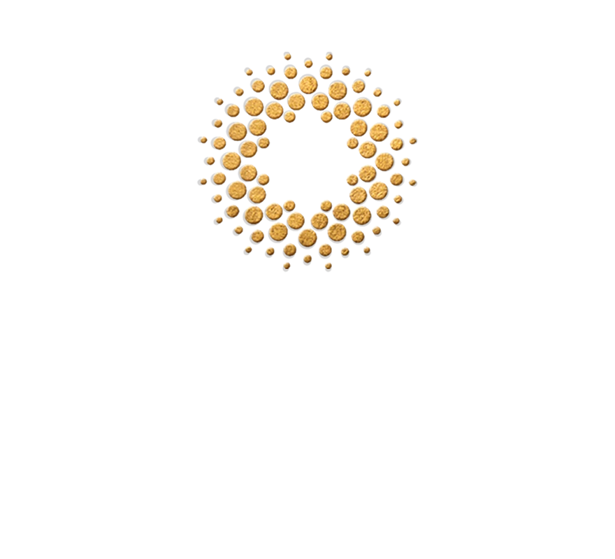 Riviera Maya Summit Awards